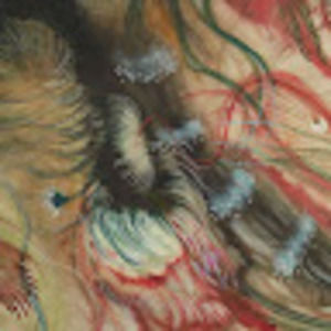 Meet your Posher, Juliet